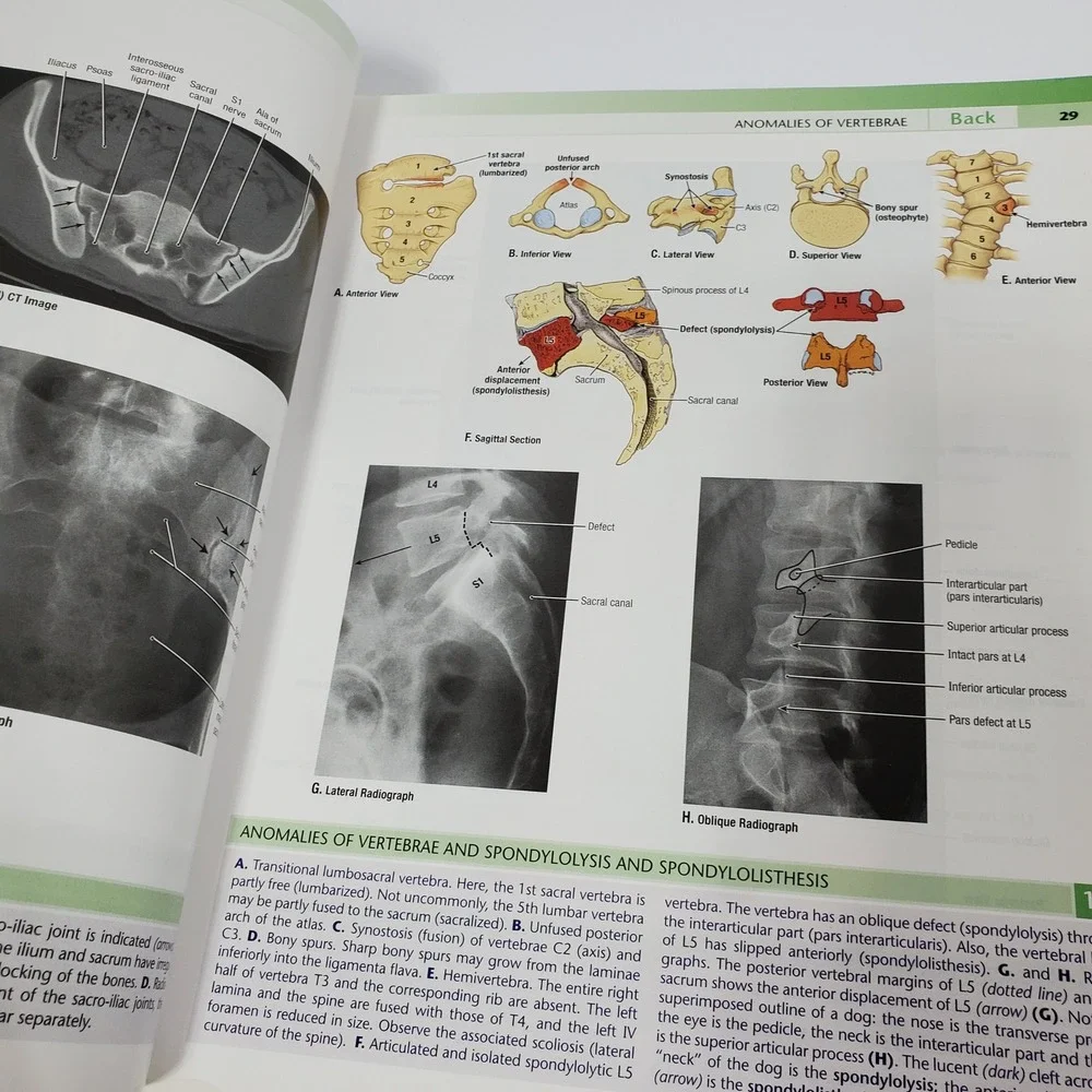Grant's Atlas of Anatomy by Anne M. R. Agur & Arthur F. Dalley Medical Books